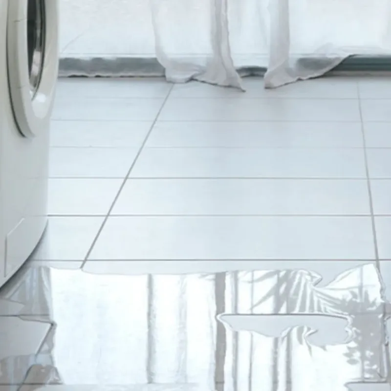 Appliance Leak Cleanup in Houston, MS