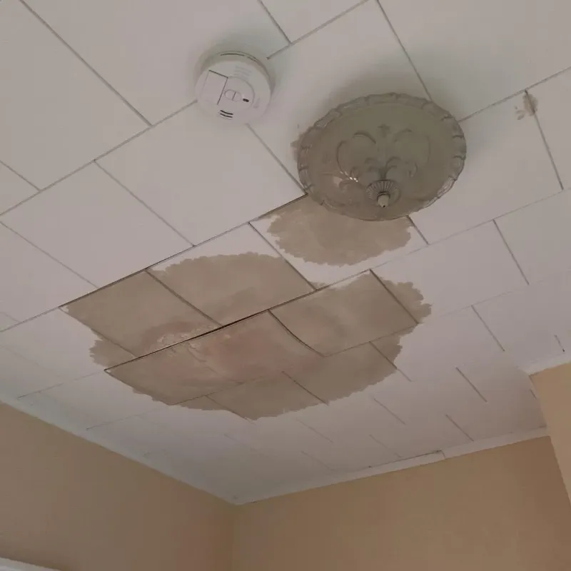 Ceiling Water Damage Repair in Houston, MS