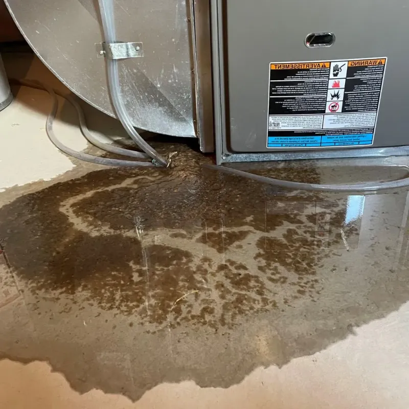 Pipe Burst and Leak Restoration in Houston, MS