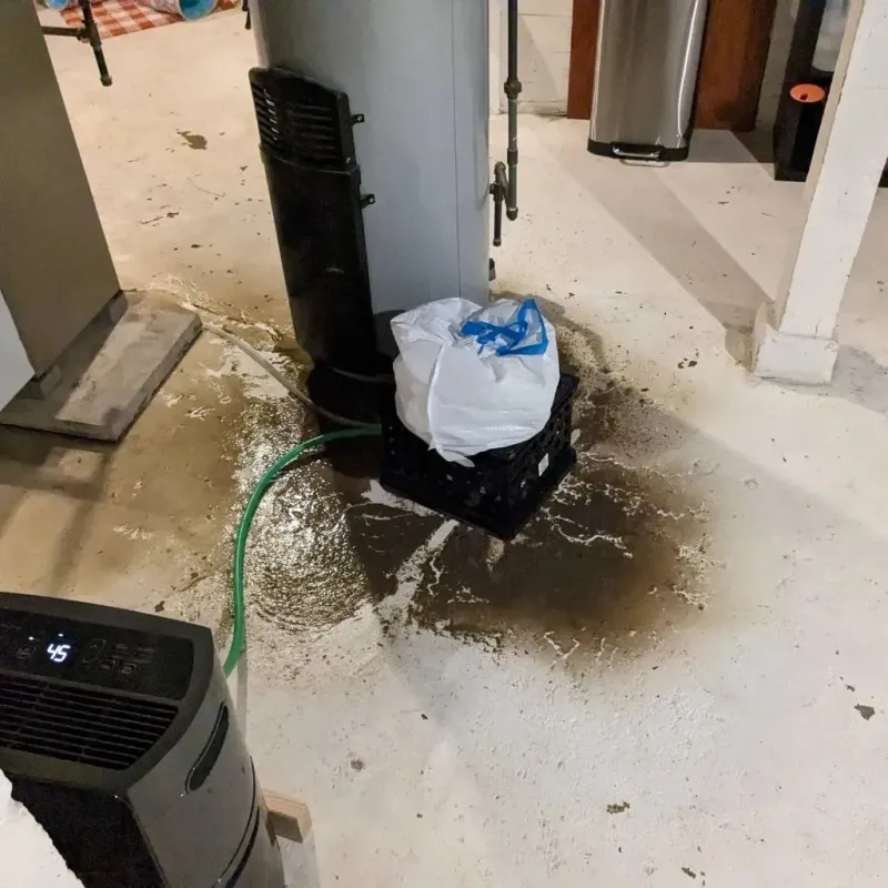 Sewage Backup Cleanup Service in Houston, MS